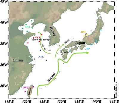 Population Genomics Reveals Shallow Genetic Structure in a Connected and Ecologically Important Fish From the Northwestern Pacific Ocean